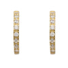 Eden Gold Hoop Earrings with Zirconia 9K Gold
