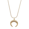 Horn Gold Necklace and Zircon