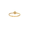 Fine Stardust Ring (9k Gold)