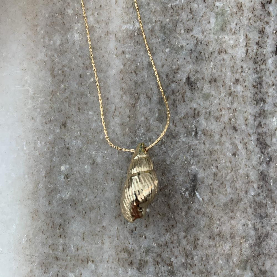 Sea shell necklace