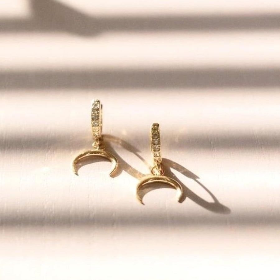 Fine Horn Earrings Gold Zircon