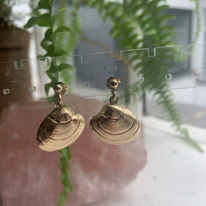 Shell earrings