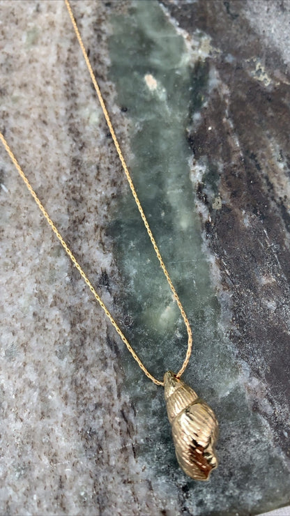 Sea shell necklace