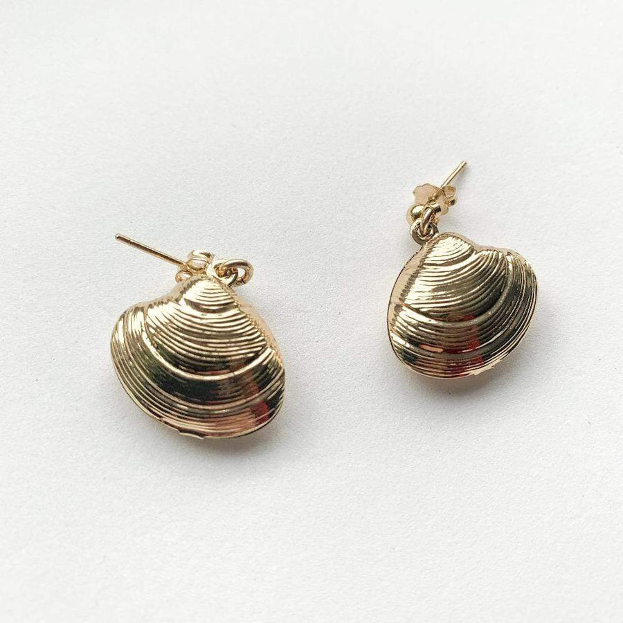 Shell earrings